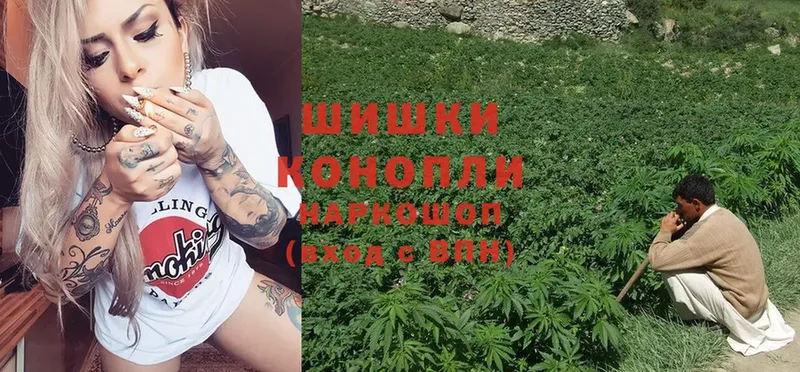 Бошки Шишки OG Kush  цена наркотик  Катайск 